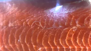 Live worms in Costco salmon