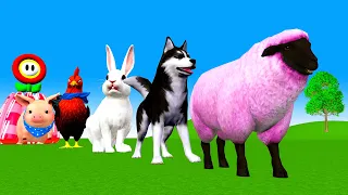 Paint Animals Sheep Dog Chicken Rabit Pig Fountain Crossing Animals