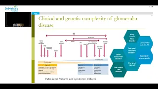 IPNA endorsed WEB MASTER SERIES 2021- A Pediatric Glomerular Disease Symposium  Webinar 6 (9th June)