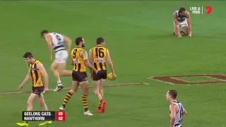 Geelong v Hawthorn - Second Qualifying Final, 2016 - Last Two Minutes - AFL