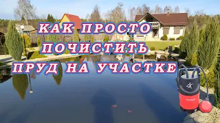 ЧИСТЫЙ ПРУД без Цветения воды. Простой Способ! Как почистить пруд на участке!