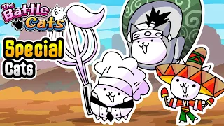 Battle Cats | Ranking All Purchasable Special Cats from Worst to Best