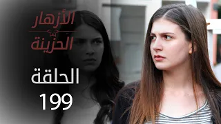 مسلسل الأزهار الحزينة | الحلقة 199 - الموسم الثاني