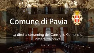 Consiglio Comunale del comune di Pavia del 29 giugno 2020