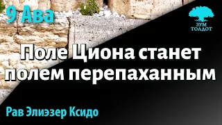 Поле Циона станет полем перепаханным. Рав Элиэзер Ксидо