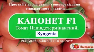 КАПОНЕТ F1 - Томат Напівдетермінантний, Syngenta