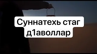 Шейх Яхъя. Суннатехь стаг д1аволлар