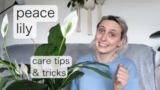 PEACE LILY CARE | Spathiphyllum Care Tips & Tricks