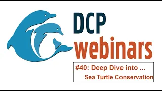 DCP Deep Dive: Sea Turtle Conservation