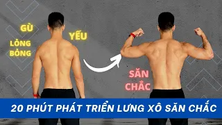 🔥 20 Phút Tập Phát Triển Lưng Xô Săn Chắc Tại Nhà (Với Tạ Đơn)