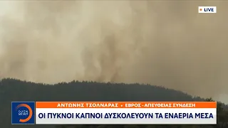 Τέταρτη εφιαλτική ημέρα στο δάσος της Δαδιάς | Μεσημεριανό Δελτίο Ειδήσεων 24/7/2022 | OPEN TV