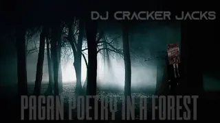 Björk VS The Cure - Pagan Poetry / A Forest (DJ Cracker Jacks Mashup)