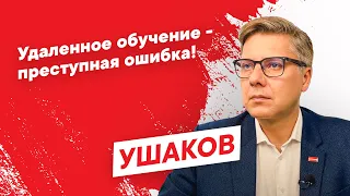 Удаленное обучение - преступная ошибка!