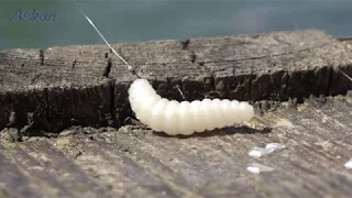 Bienenmade richtig auf den Haken ziehen!