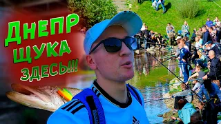 ДНЕПР, ЩУКА ЕСТЬ !  | Рыбалка на спиннинг в Орше