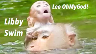 OhGod! Very Pitiful Baby Monkey Leo Almost Drown By Mom Libby Swimming Careless In Water