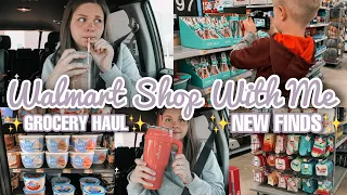 *NEW* Walmart Grocery Haul | Walmart Shop With Me | SUMMER FINDS at Walmart April 2023