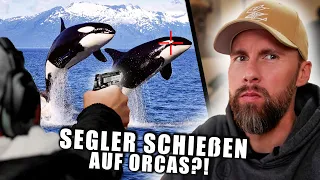Der KONFLIKT ESKALIERT immer WEITER! Segler schießen auf Orcas | Robert Marc Lehmann