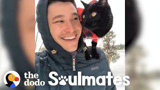 Cat And His Dad Go Backpacking Together | The Dodo Soulmates