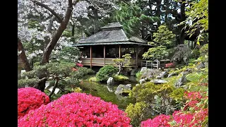 Японский сад.  48 идей ландшафтного дизайна