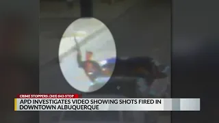 APD investigates video showing shots fired from car window