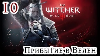 Прохождение The Witcher 3: Wild Hunt: Серия #10 - Прибытие в Велен