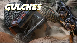 Small Park, Big Obstacles! Gulches ORV Adventure