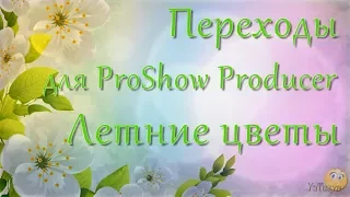 Переходы для ProShow Producer - Летние цветы