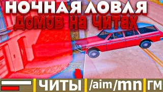 ЛОВЛЮ ДОМА НА ЧИТАХ ВСЮ НОЧЬ НА ARIZONA RP GTA/SAMP