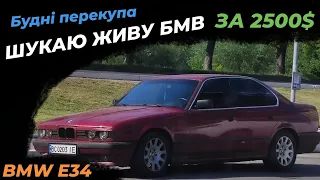 Купили живу Е34 в 2023 році За 2500 доларів. Пошуки пацанської тачки на перепродаж