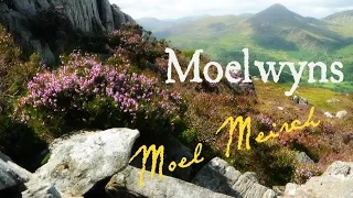 Moel Meirch : Moelwyns Snowdonia