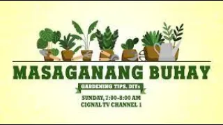 MASAGANANG BUHAY APRIL 21, 2024