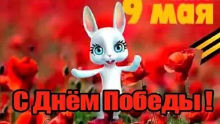 Красивое поздравление С 9 МАЯ! С Днем Победы! ПЕСНЯ СМЕЛОГО ПУЛЯ БОИТСЯ