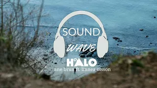 Halo- ane brun ft. linnea olsson