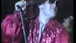 The Dictators - The Minnesota Strip (live 1981)