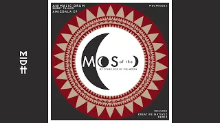 Animalic Drum - Amigdala (Original Mix)(MIDH Premiere)
