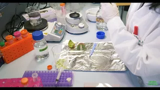 GENEration Biotechnology - Estrazione del DNA da un kiwi