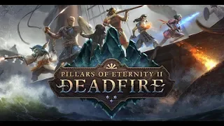 Pillars of Eternity 2 ★ Янвик ★ Немнок пожиратель душ ★ Часть 46