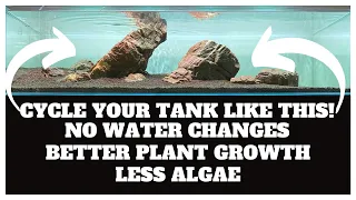 Avoid Algae During Start-up By Cycling Your Planted Tank Like This! - Loads Of Benefits!