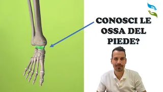 Dolore al piede? Scopri l'anatomia ossea, muscolare e nervosa