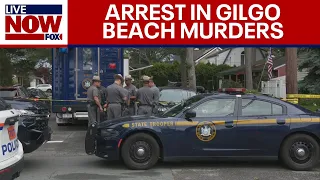 Gilgo Beach murders: Suspect arrested in Long Island, NY serial killings | LiveNOW from FOX