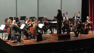 Orquesta de Cámara de Viena 2024    Tributo a Mozart