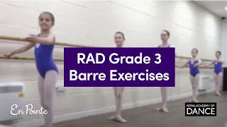 RAD Grade 3 Barre exercises