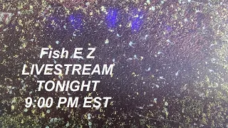 FishEZ is live!  New fish this week and new fry too!