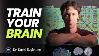 Optimize Your Brain For Better Health, Performance & Fulfillment | Neuroscientist Dr. David Eagleman