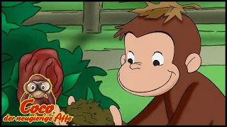 Coco der Neugierige Affe | Coco spielt mit der Natur | Cartoons für Kinder