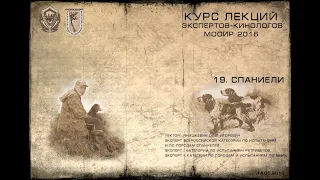 Лекция 19. Спаниели. (Курсы экспертов-кинологов МООиР 2016)