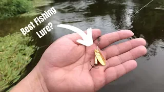 How To Catch Fish With In-line Spinners! 🔥🔥🔥