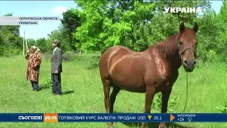 Двоє пенсіонерів живуть відрізані від цивілізації на хуторі Привільному