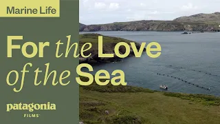 For the Love of the Sea | Patagonia Films